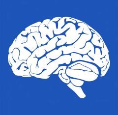 Unpacking the Social Mind: Dynamic Assessment Tasks for Exploring Social Learning